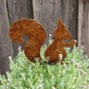 ALEMIN Sitting Squirrel Rust Decoration, Garden Decoration, Rust, Squirrel Tree