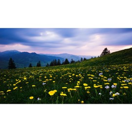 Mountains Pine Trees Aquarium Background Sunset Yellow Flowers Fish Tank Background Fantastic Spruces Natural Landscape Terrarium Background Lush Wildflowers Meadow Aquarium Backdrop 48x24in