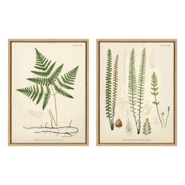 Kate and Laurel Sylvie Ferns 1 and Ferns 2 Set Framed Canvas Wall Art by Corinna Buchholz of Piddix, 2 Piece 18x24 Natural