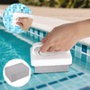 8 Pcs Hand-Held Pool Pumice Stones, Pumice Stone for Pool