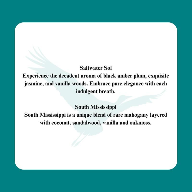 All Purpose Scented Cleaner:_Small 17oz_Saltwater Sol