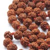 HealthGoodsAU - Meditation/Japa Rudraksha Mala with 108 + 1 beads