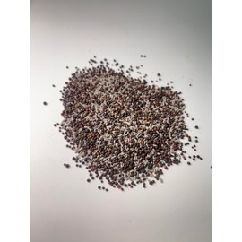 5 lbs. The Rut Buffet Wildlife Mix Purple Top Turnips Rapeseed Chicory Food Plot Deer Turkey