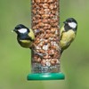 Ring-Pull Small Bird Feeder for Peanuts - Green