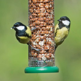 Ring-Pull Small Bird Feeder for Peanuts - Green