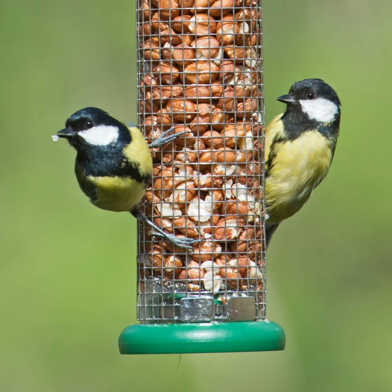 Ring-Pull Small Bird Feeder for Peanuts - Green