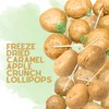 PinkeySmile Freeze-Dried Caramel Apple Crunch Lollipops 4.5 oz – Crunchy