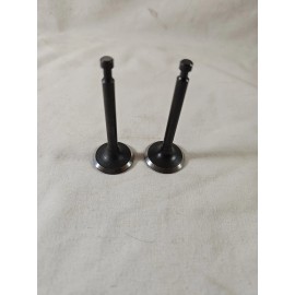 CLONE INTAKE & EXHAUST SHORT VALVE SET, Clone 196 Ducar Go Kart Racing GX200 Honda NEW