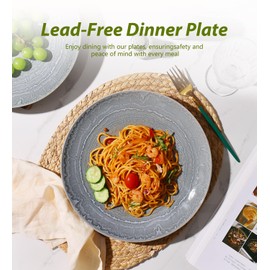 MONITO Ceramic Dinner Plates Set of 6,10.5 Inch Reactive Glaze Porcelain Plates, Dinnerware Dishes Set for Kitchen,Microwave,Dishwasher, Psychedelic Grey