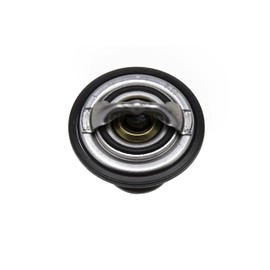 ACDelco GM Original Equipment 131-163 Engine Coolant Thermostat