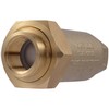 Cash Acme 3/4 Inch BF1 Dual Check Valve with Female