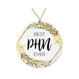 Public Health Nurse Christmas Ornament - Christmas Ornament Gift for Phn - World's Best Phn - Best Phn Ever - Public Health Nurse Gifts Printed on Both Sides