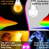 Elmoyle Amber Sleep Light Bulbs 1800k, Blue Light Blocking, Dim