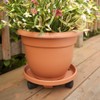 Fiskars 20-56106 6 Inch Ariana with Self-Watering Grid, Color Clay,
