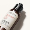L'OCCITANE - Intensive Repair Conditioner - 75 ml - Dry