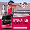 MAKE READY NUTRITION MAKE READY NUTRITION 2ALPHA Ammunition Strawberry Kiwi