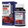 액티브 철분 100캡슐 100일분 철분제 Active Iron 100 Capsules 100-Day Iron Supplement