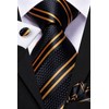 Hi-Tie Lot 5 Pcs Gift Box Mens Tie Set Necktie
