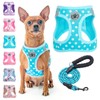 BEAUTYZOO Step in Dog Harness and Leash Set, Polka Dot