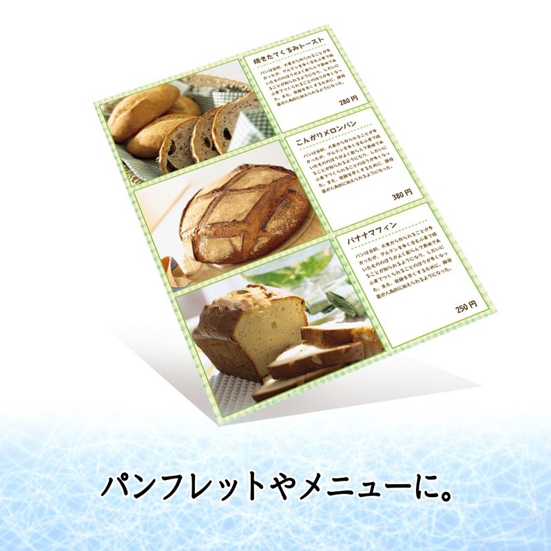 プラス インクジェット用紙 厚手マット紙 A4判 50枚入 IT-125MC 46-114