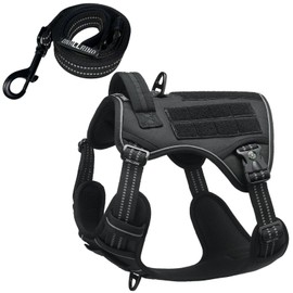 DNALLRINO Tactical Dog Harness with Leash for Medium Large Dogs, Dog Car Leash Seat Belt with 5.5Ft No Pull Shock Absorbing, Dog Harness and Leash Set with ID Card (Black, L)