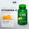 Vitamina C 5H8 NUTRITION