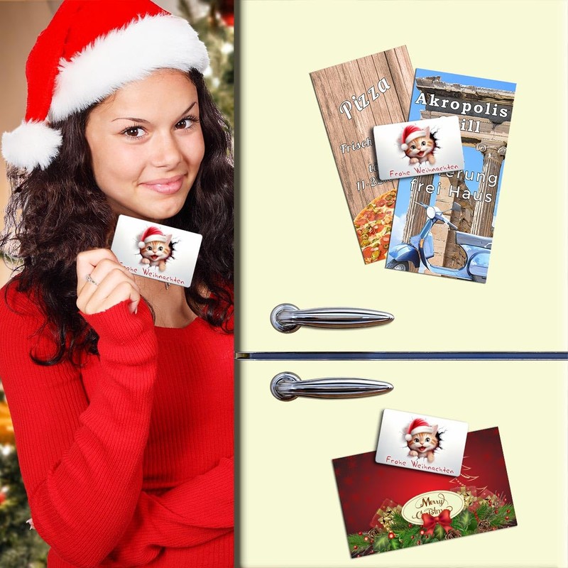 TRIOSK Christmas Magnets 3D Illusion Fridge Magnet Cat with Saying