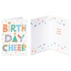 Papyrus Boxed Birthday Card Assortment, Bright Birthday (4-Count)