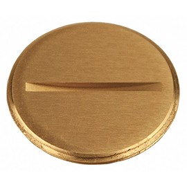 Abandon Plug, 1-1/2 in. Flush Slotted Plug, Fits RACO Covers 6284, 6288, Brass (6226)