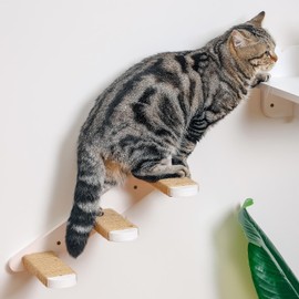 COOLEX Cat Wall Steps, Cat Wall Shelves 3 Step Cat Stairway, Wood Cat Ladder Cat Steps for Wall, Cat Climbing Wall Stairs for Cats Shelves Platform Supplies(White)