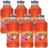 Mistic Tropical Fruit Punch Drink, 16oz Glass Bottle (Pack of