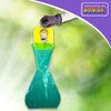 Beetle Trap Bag 6 Pk