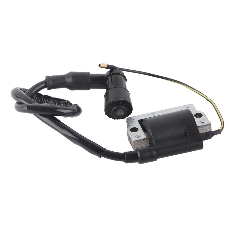 Ignition Coil Module Pulse Generator Replacement for G1 2‑Cycle 1979‑1989