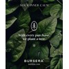 Bursera Vulcan セラミックプレート ご注文ごとに植木 パロサント用スマッジトレイ ホワイトセージ 香炉 ジュエリー皿 装飾プレート