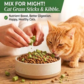 GREMBEB 6Pack Cat Toys Cats Grass Treat Catnip Toy with Silvervine for Indoor Kitten Toys Wood Kitty Chew Rope Grass Sticks for Teeth Cleaning Kitten Snack for Catnip Dental Care Self Play