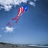 In the Breeze Patriotic Delta Kite with 19-1/2-Feet Flowing Tails