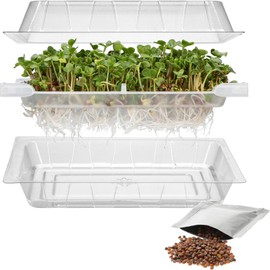 BROWIN® Sprouting Box for Growing Sprouts 745748 | Sprout House with Lid and Germination Trays | Germination Device for Cress Seeds, Alfalfa Sprouts, Rocket Seeds | Includes Radish Seeds