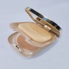 NOEVIA 3 Powdery Foundation M 12g No. 14 / 노에비아3
