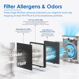 Flintar True HEPA Replacement Filter, Compatible with Okaysou(Oksou) Apollo 630/718 Air Purifier, H13 Grade True HEPA + Activated Carbon Filter, 2-Pack