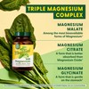 MegaFood Magnesium 300 mg - Highly Absorbable Blend of Magnesium