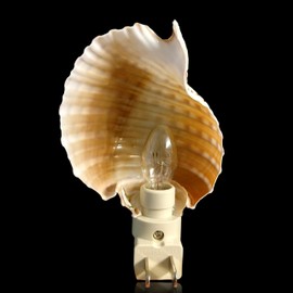 Tumbler Home Shell Night Light, Seashell Nightlight for Bathroom, Unique Coastal Night Light for Nautical, Ocean & Beach Décor