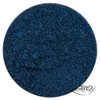 PUROBIO - Lidschatten in Pan n. 07 - Blau -
