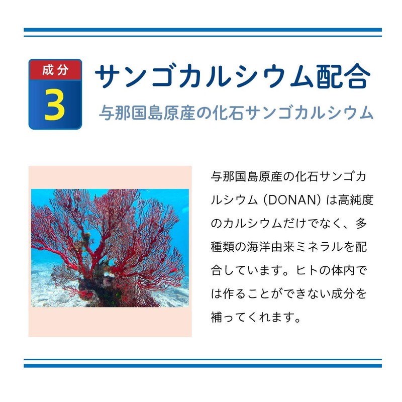 プロテオグリカン サプリメント サプリ Ⅱ型コラーゲン複合体 90日分(3袋) サンゴカルシウム ビタミンB ビタミンD ビタミンE 配合