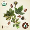 Sérum Orgánico Para El Crecimiento Del Cabello Bodyj4you Con