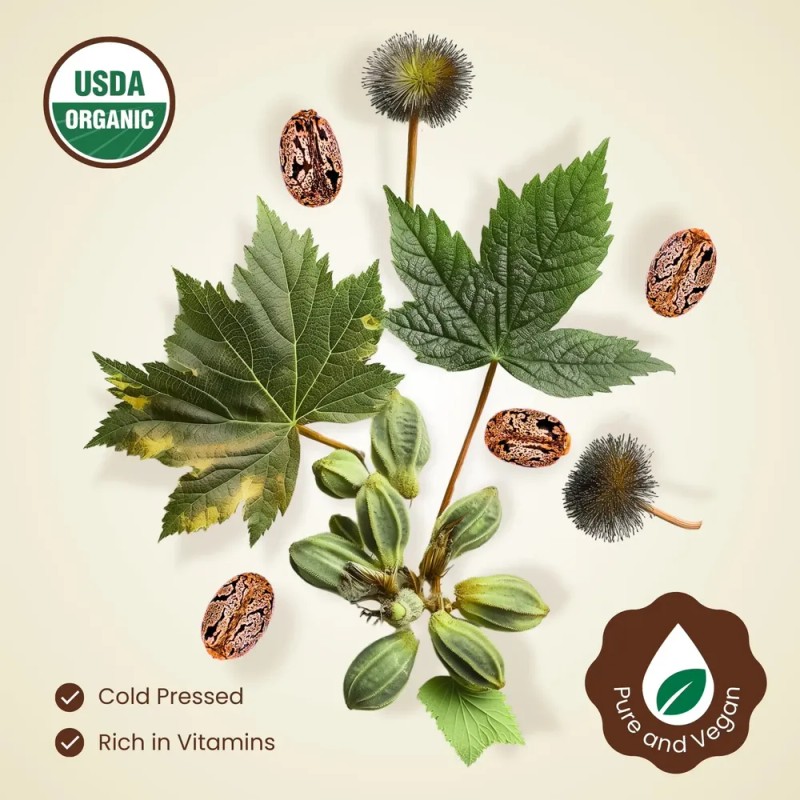 Sérum Orgánico Para El Crecimiento Del Cabello Bodyj4you Con