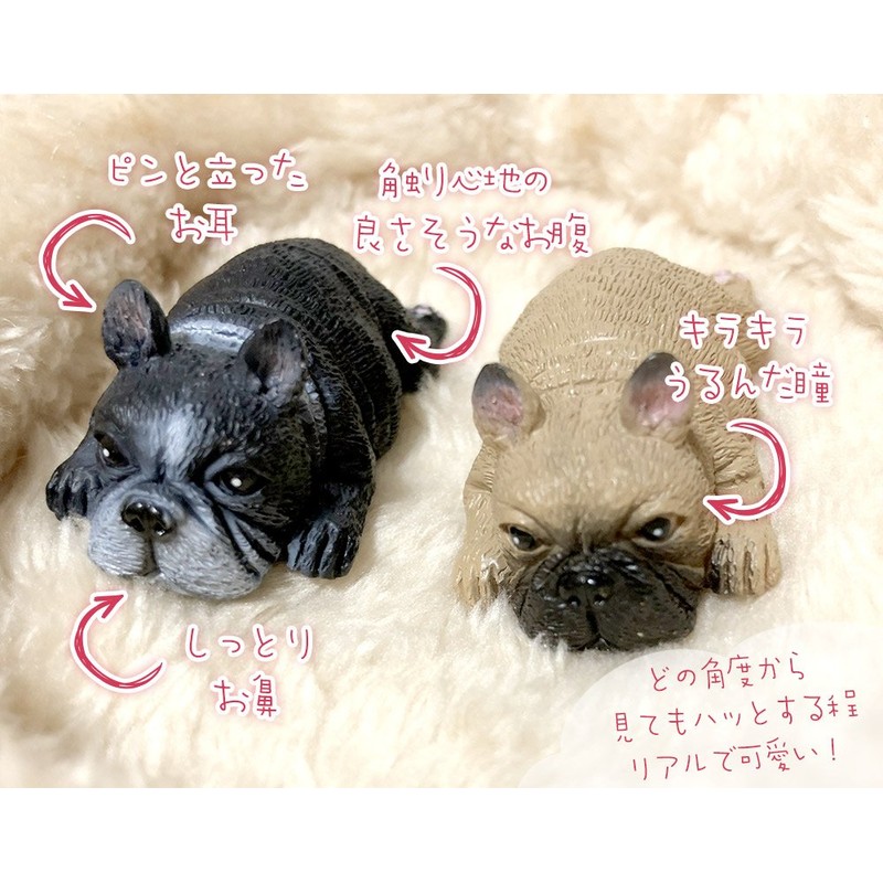 moin moin Figure Magnet, Dog, Dog, Fluffy, Bed, Realistic, Realistic