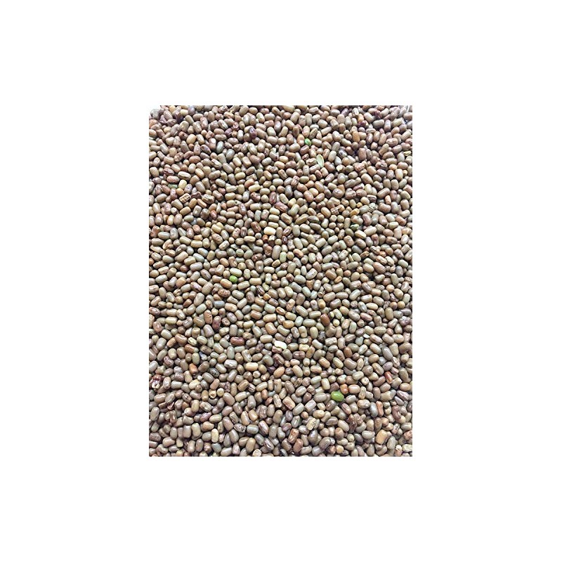 Ethnic Choice 100% Natural Moth Dal/Matki Dal/Moth Beans Whole/Turkish Gram