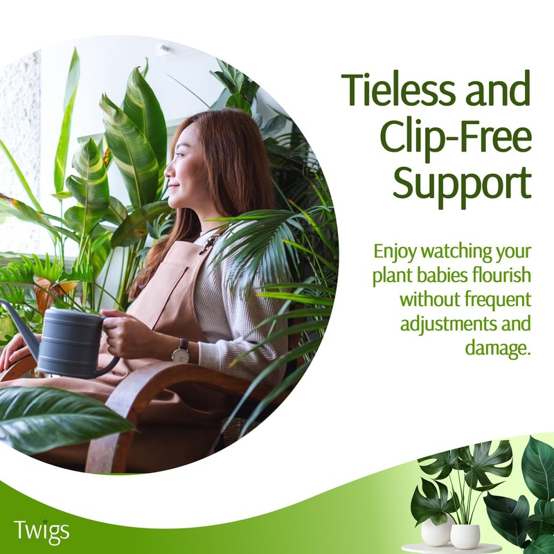 Twigs GA - Plant Support Stakes, Stem Holder Structures for