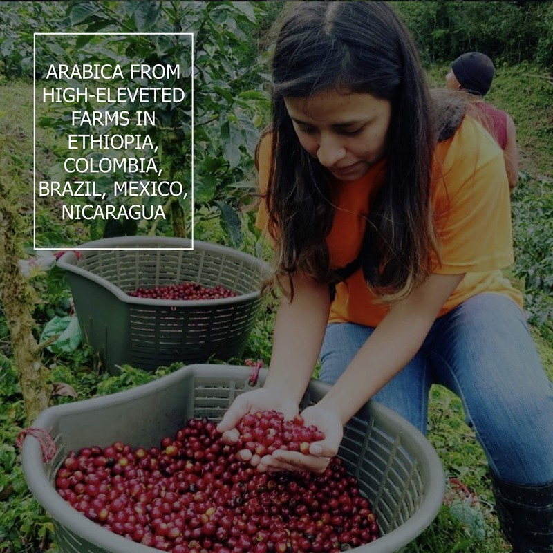 Coperaco Maestrale Espresso Blend Whole Coffee Beans, Medium Roast, Toasted