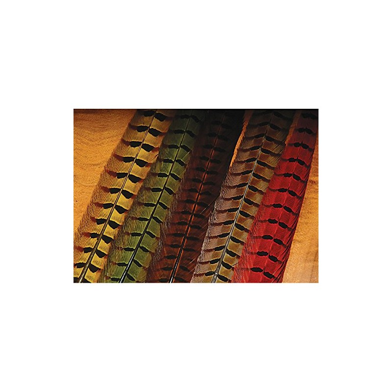 Hareline Dubbin Ringneck Pheasant Tail Feathers - Purple, One Size,